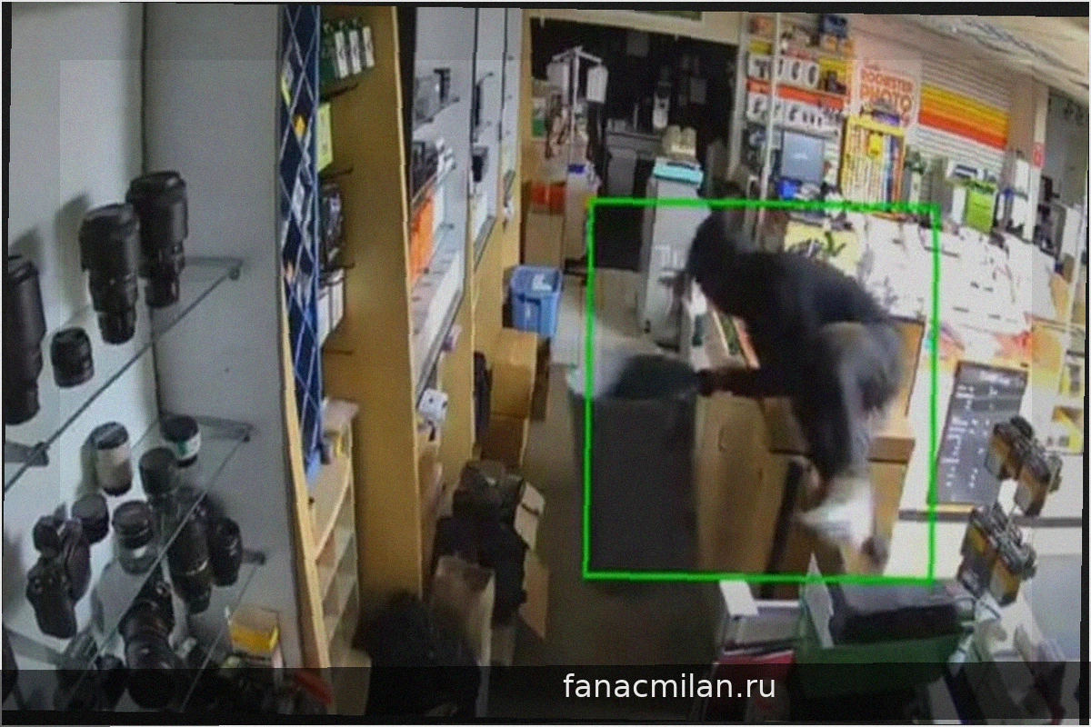 Ограбление кинолаборатории: воры разбили дверь мусорными баками и похитили оборудование